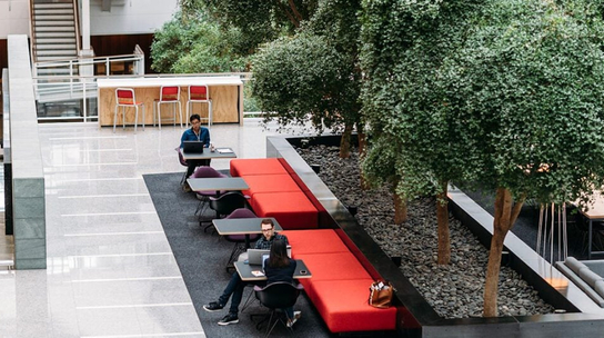 Company Office