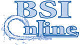 BSI Online